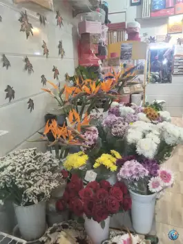 عکس گل فروشی گلستانک رضا، گلستان، کرج 2