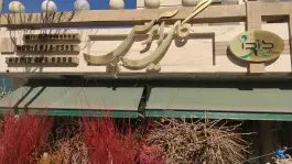 عکس گل آیریس، محله بهرام آباد، اصفهان 2