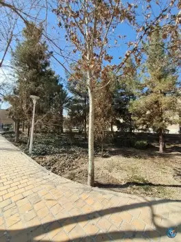 عکس بوستان علیقلی آقا، محله علی قلی آقا، اصفهان 5