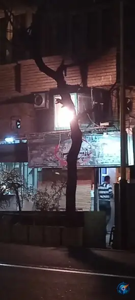 عکس ساندویچ محمود، امجدیه - خاقانی، تهران 7