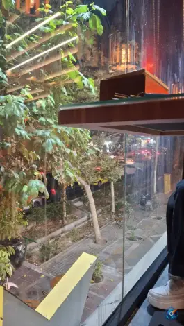 عکس رستوران سیتکا محله کشاورز تهران 3