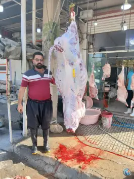 عکس کبابی و قصابی سجاد، توحید، ایلام 3
