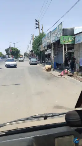 عکس کبابی و قصابی سجاد، توحید، ایلام 6