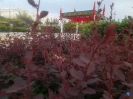 عکس مقبره شهید گمنام، محله ی شهید هرندی، تهران 5