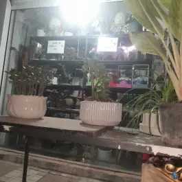 عکس های گلکده پارسا، محله خرمدشت، کرج