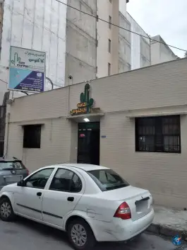 کافه کاکتوس، معلم، ساری
