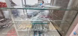 عکس کباب و جگر چرب و چیلی شاندیز، بلوار معلم، مشهد 2