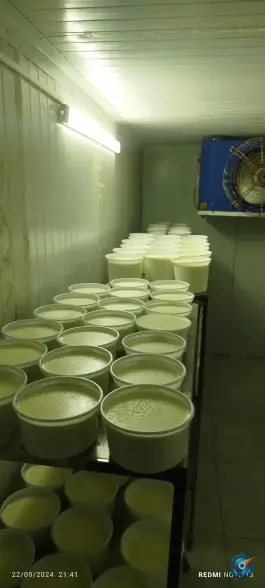 عکس لبنیات سنتی خوان شیرازی، صدرا، شیراز 2