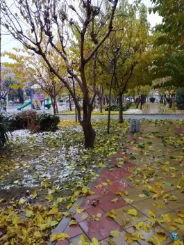 عکس های بوستان فرهنگیان، اسد آباد، کرج
