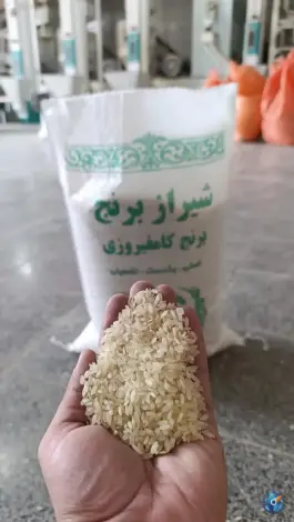 عکس شیراز برنج، فضل آباد، شیراز 3