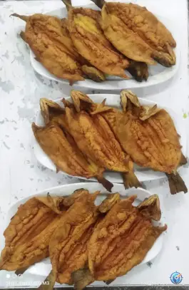 عکس رستوران سنتی خانه غذا، امام خمینی، اشکذر 2