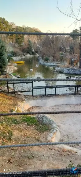 برکه پرندگان، محله ارم، تهران