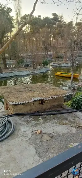 عکس برکه پرندگان، محله ارم، تهران 4