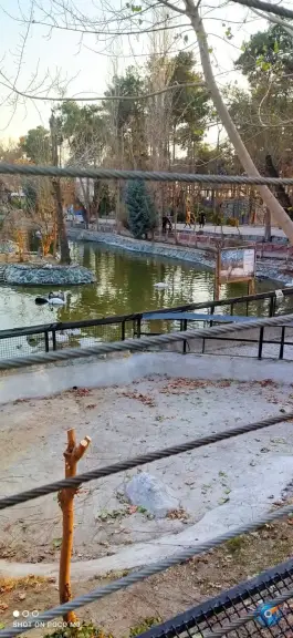 عکس برکه پرندگان، محله ارم، تهران 7