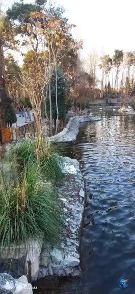 عکس برکه پرندگان، محله ارم، تهران 8