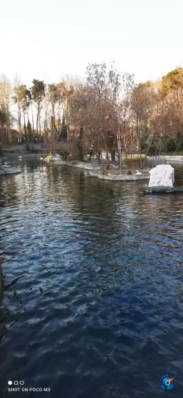 عکس برکه پرندگان، محله ارم، تهران 9