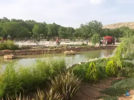 پارک گلها، معالی آباد، شیراز