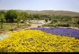 عکس پارک گلها، معالی آباد، شیراز 2