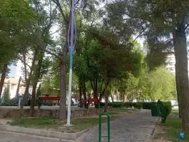 عکس پارک گلها، معالی آباد، شیراز 4