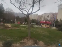 عکس پارک گلها، معالی آباد، شیراز 6