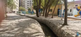 عکس پارک گلها، معالی آباد، شیراز 10