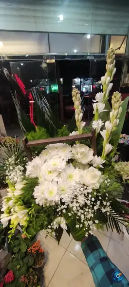 عکس گلفروشی گلشید، پیروزی، مشهد 3
