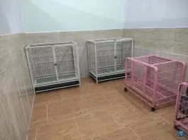 عکس کلینیک دامپزشکی گلستان، شاندیز، مشهد 5