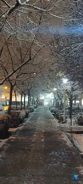 عکس بوستان شقایق، طبرسی شمالی، مشهد 2
