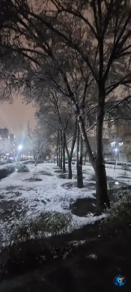 عکس بوستان شقایق، طبرسی شمالی، مشهد 4