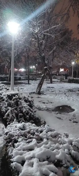 عکس بوستان شقایق، طبرسی شمالی، مشهد 6