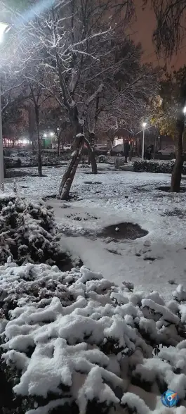 عکس بوستان شقایق، طبرسی شمالی، مشهد 7