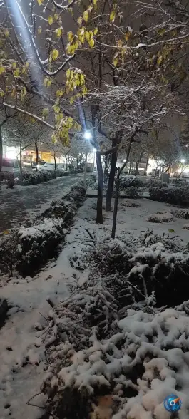 عکس بوستان شقایق، طبرسی شمالی، مشهد 8