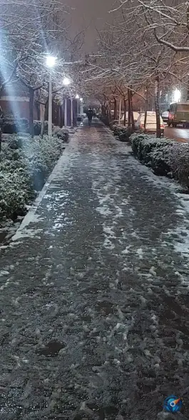 عکس بوستان شقایق، طبرسی شمالی، مشهد 9
