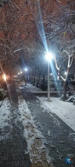 عکس بوستان شقایق، طبرسی شمالی، مشهد 10