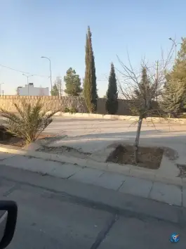 عکس بوستان خطی شهید محمد سعید اسماعیلی، گلستان شمالی، شیراز 3
