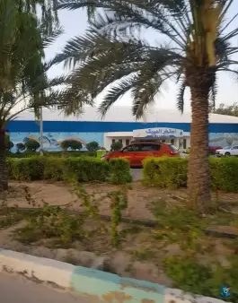عکس استخر المپیک، شهرک المپیک، کیش 3
