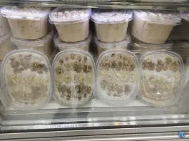عکس بستنی تک پل جمهوری کرج 4
