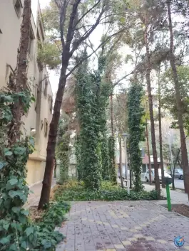 عکس بوستان صفا، فلاطوری، اصفهان 2