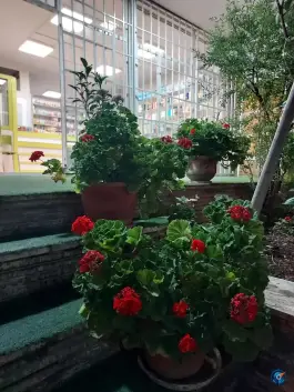 عکس داروخانه دکتر شهین رحیمی، محله توحید، تهران 4