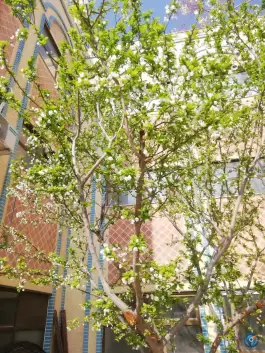 عکس حوزه علمیه فاطمه الزهرا خواهران، محله کنگاز، اصفهان 3