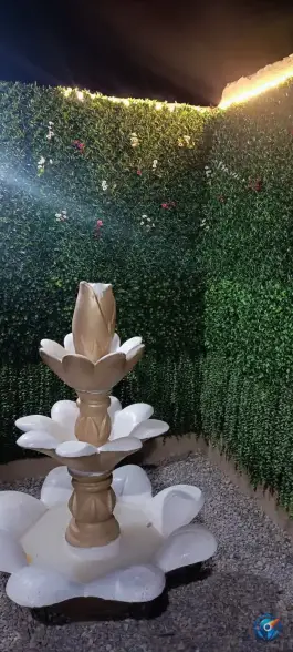 عکس دکتر جگر، قوچان 5