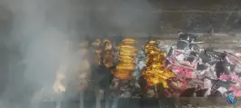 جگرکی بامشاد، سلسبیل شمالی، تهران