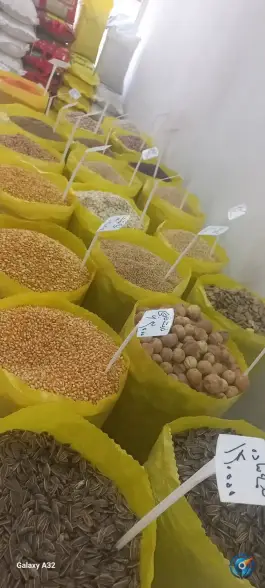 عکس پخش برنج و حبوبات مزرعه «پیری» در محمدشهر کرج 2