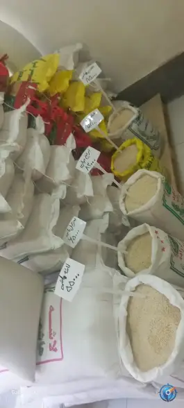 عکس پخش برنج و حبوبات مزرعه «پیری» در محمدشهر کرج 3