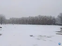 عکس بیشه ناژوان، محله دستگرد خیار، اصفهان 8