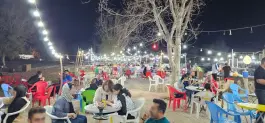 عکس بیشه ناژوان، محله دستگرد خیار، اصفهان 9