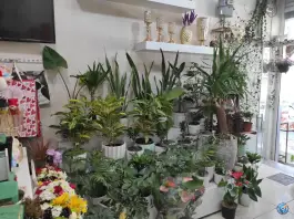 گل تارخ، محله حسین آباد اصفهان