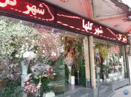 عکس های شهر گلها مصنوعی، محله جامی، اصفهان