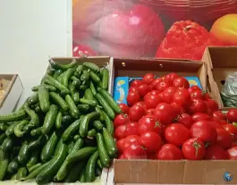 عکس میوه دستچین، محله رحمانیه، مشهد 3