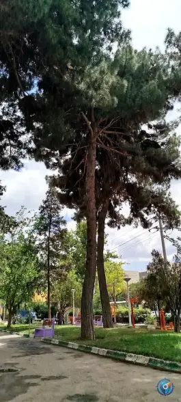 عکس بوستان کودک، محله عبادی، مشهد 8